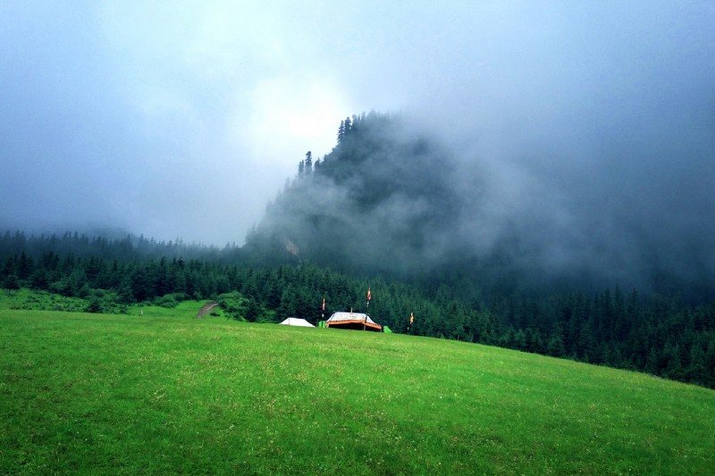 2321321_畫(huà)板 1